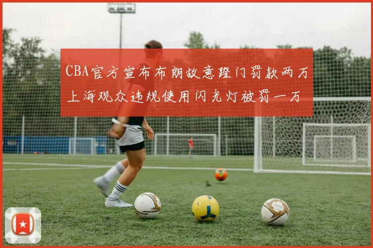 CBA官方宣布布朗故意蹬门罚款两万上海观众违规使用闪光灯被罚一万