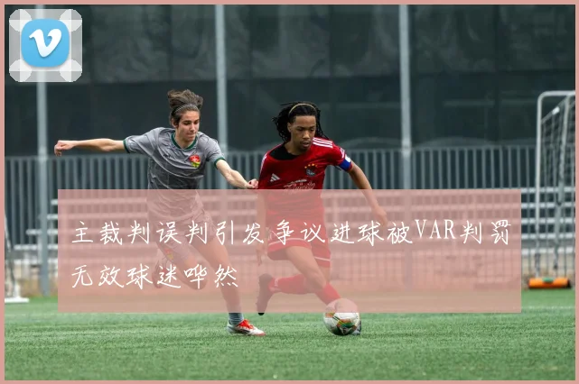 主裁判误判引发争议进球被VAR判罚无效球迷哗然